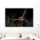 Black Coral Crab with Wall Decal