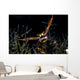 Black Coral Crab with Wall Decal
