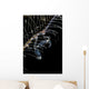 Japanese Skeleton Shrimp Anilao Wall Decal