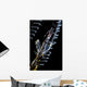 Japanese Skeleton Shrimp Anilao Top View Wall Decal