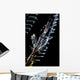Japanese Skeleton Shrimp Anilao Top View Wall Decal