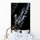 Japanese Skeleton Shrimp Anilao Top View Wall Decal