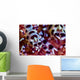 Close-up Coleman Shrimp Anilao Wall Decal