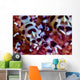 Close-up Coleman Shrimp Anilao Wall Decal