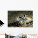 Lizardfish Eating Dragonet Anilao Wall Decal