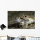 Lizardfish Eating Dragonet Anilao Wall Decal