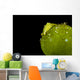 Juvenile Oxynoe Sapsucking Slug Close-up Wall Decal