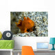 Tiny Orange Frogfish Anilao Wall Decal