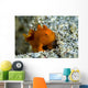 Tiny Orange Frogfish Anilao Wall Decal