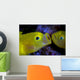 Yellow Goby Anilao Philippines Wall Decal
