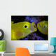 Yellow Goby Anilao Philippines Wall Decal