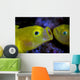 Yellow Goby Anilao Philippines Wall Decal