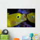 Yellow Goby Anilao Philippines Wall Decal
