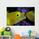 Yellow Goby Anilao Philippines Wall Decal