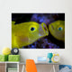 Yellow Goby Anilao Philippines Wall Decal