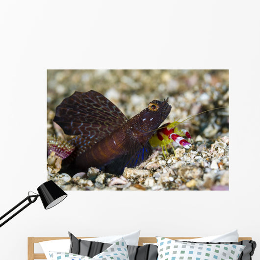 Randall's Shrimp with Magnificent Wall Decal