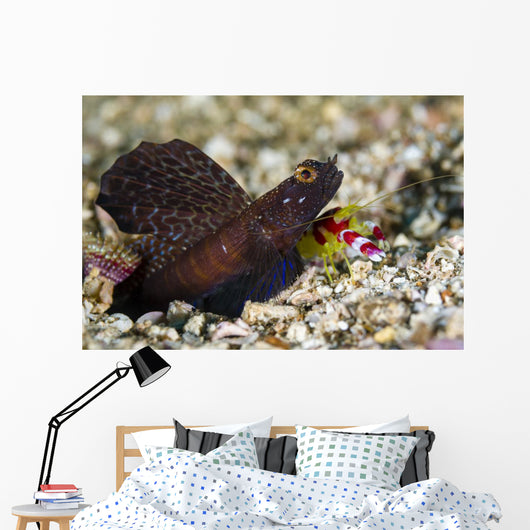 Randall's Shrimp with Magnificent Wall Decal