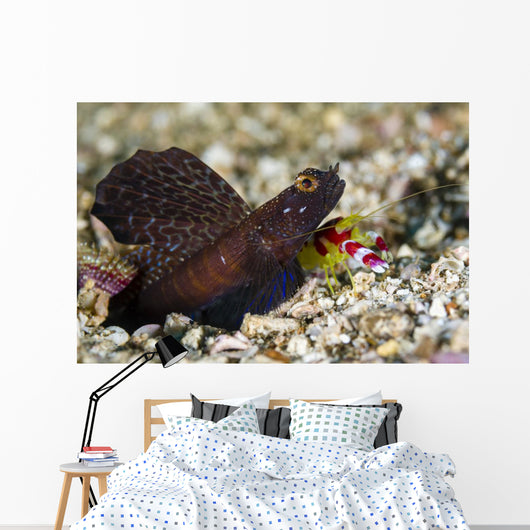 Randall's Shrimp with Magnificent Wall Decal