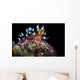 Desirable Flabellina Nudibranch Anilao Wall Decal