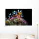 Desirable Flabellina Nudibranch Anilao Wall Decal
