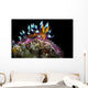 Desirable Flabellina Nudibranch Anilao Wall Decal