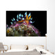 Desirable Flabellina Nudibranch Anilao Wall Decal