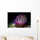 Beautiful Janolus Savinkini Nudibranch Wall Decal