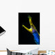 Headshot Male Ribbon Eel Front View Wall Decal