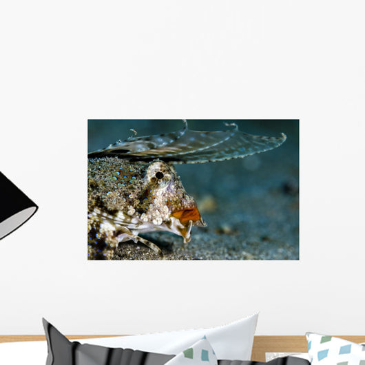 Orange and Black Dragonet Wall Decal