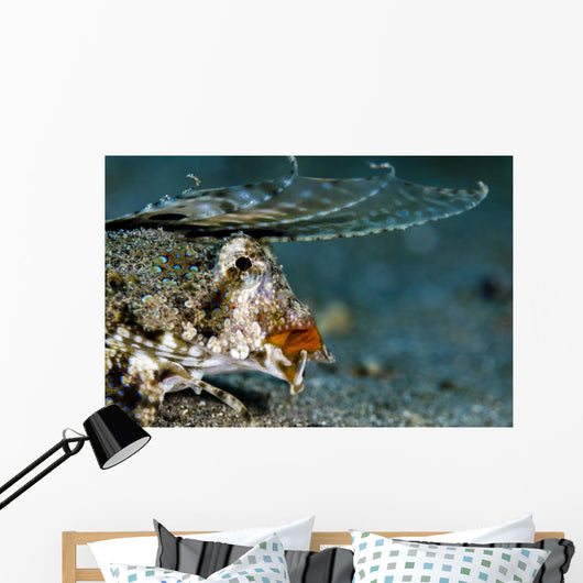 Orange and Black Dragonet Wall Decal