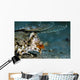 Orange and Black Dragonet Wall Decal
