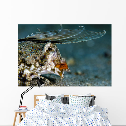 Orange and Black Dragonet Wall Decal