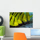 Golden Trevally Fish Anilao Wall Decal