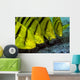 Golden Trevally Fish Anilao Wall Decal