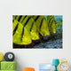 Golden Trevally Fish Anilao Wall Decal