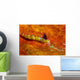 Favorinus Sea Slug Orange Wall Decal