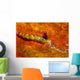 Favorinus Sea Slug Orange Wall Decal