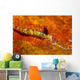 Favorinus Sea Slug Orange Wall Decal