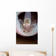 Commensal Sponge Shrimp Tube Wall Decal