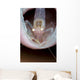 Commensal Sponge Shrimp Tube Wall Decal