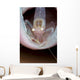 Commensal Sponge Shrimp Tube Wall Decal