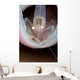 Commensal Sponge Shrimp Tube Wall Decal