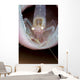 Commensal Sponge Shrimp Tube Wall Decal