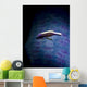 Sea Star Shrimp Blue Wall Decal