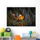 False Clown Snemonefish Host Wall Decal
