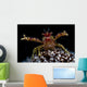 Galathea Squat Lobster with Wall Decal