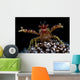 Galathea Squat Lobster with Wall Decal