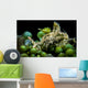 Juvenile Oxynoe Sapsucking Slug Wall Decal