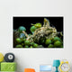 Juvenile Oxynoe Sapsucking Slug Wall Decal