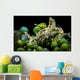 Juvenile Oxynoe Sapsucking Slug Wall Decal